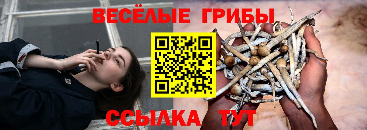 Галлюциногенные грибы мицелий Туймазы